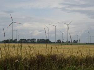 Ya think it's windy?