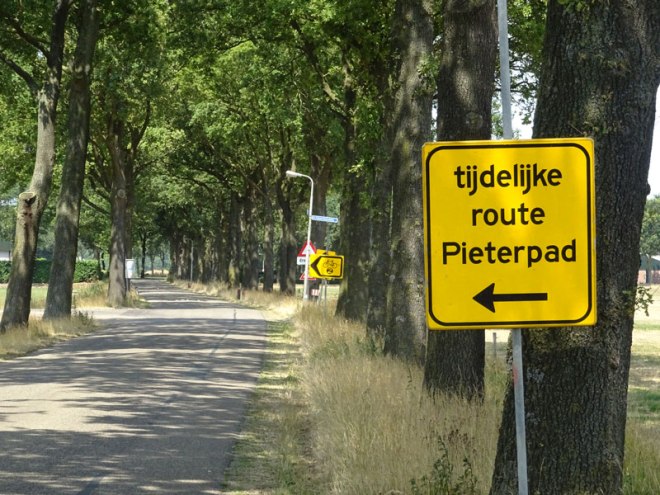 Detour-Signs---Compressed