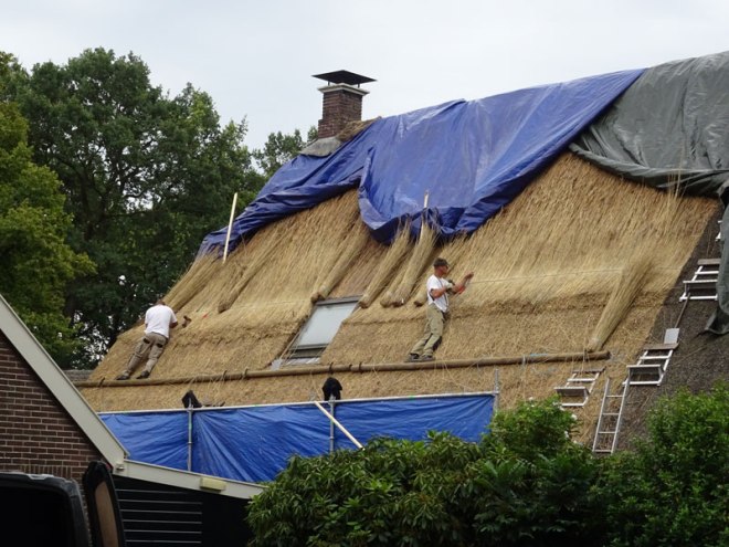 thatched-1-compressed